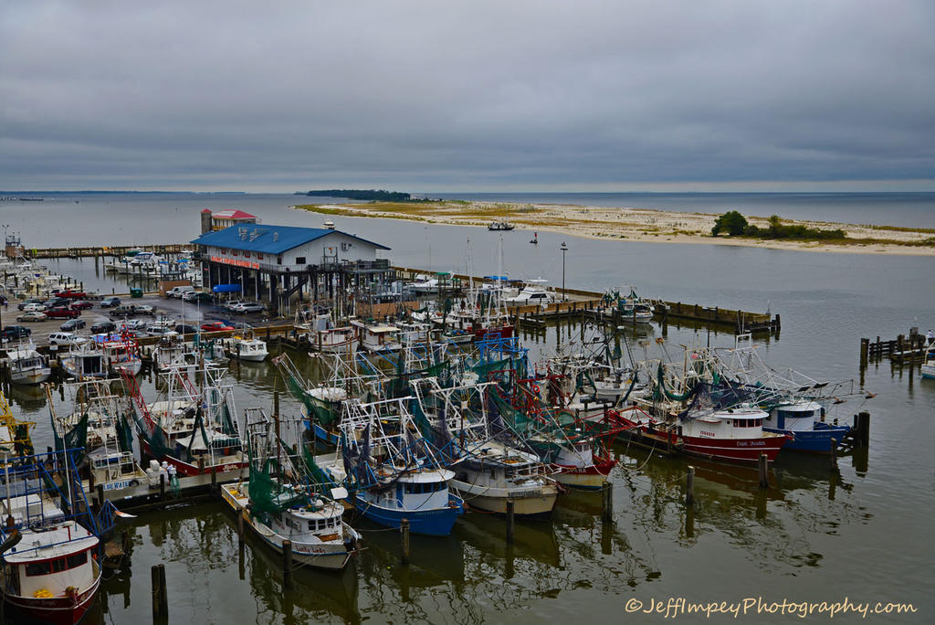 DSC_7860.jpg
