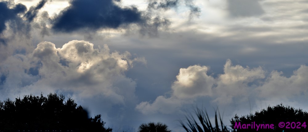 DSC_7873_stitch6_001.JPG