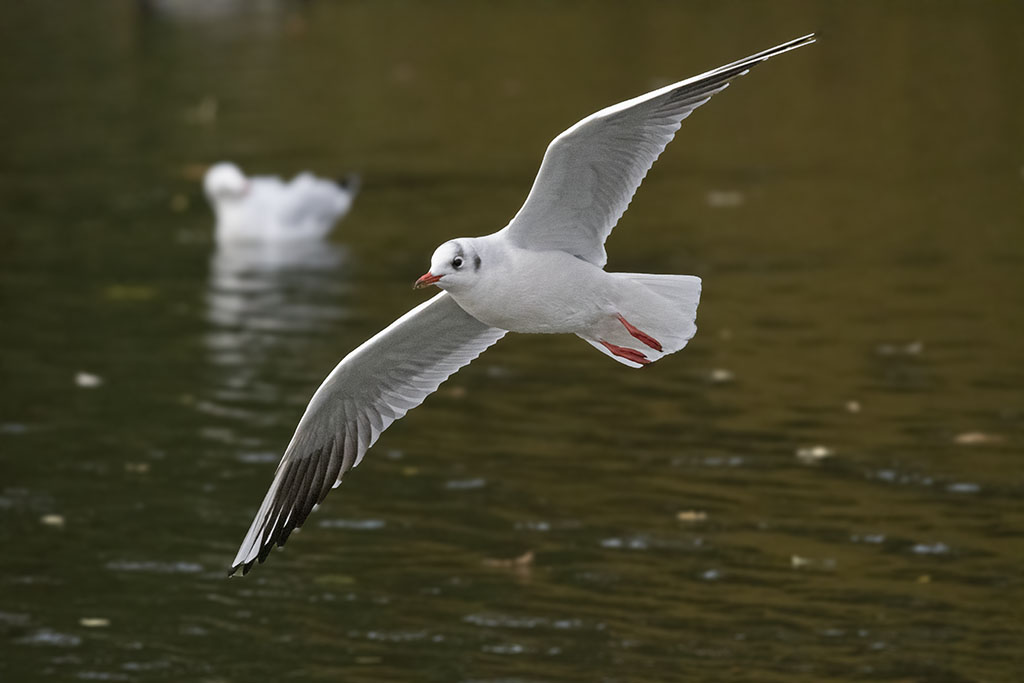 DSC_7874.jpg