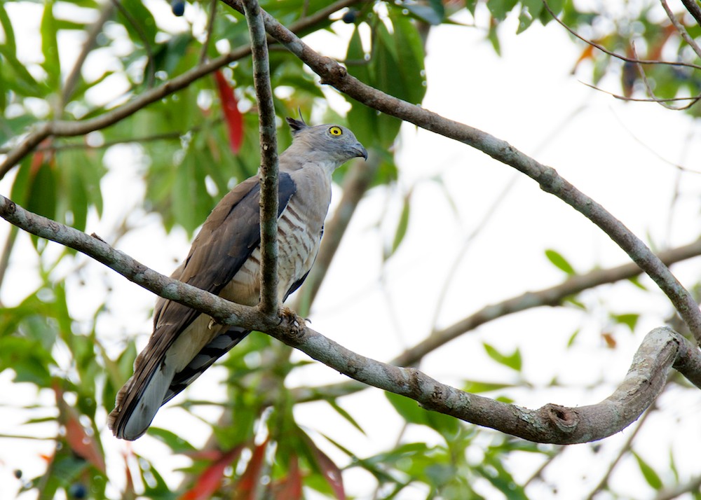 DSC_7877.jpg
