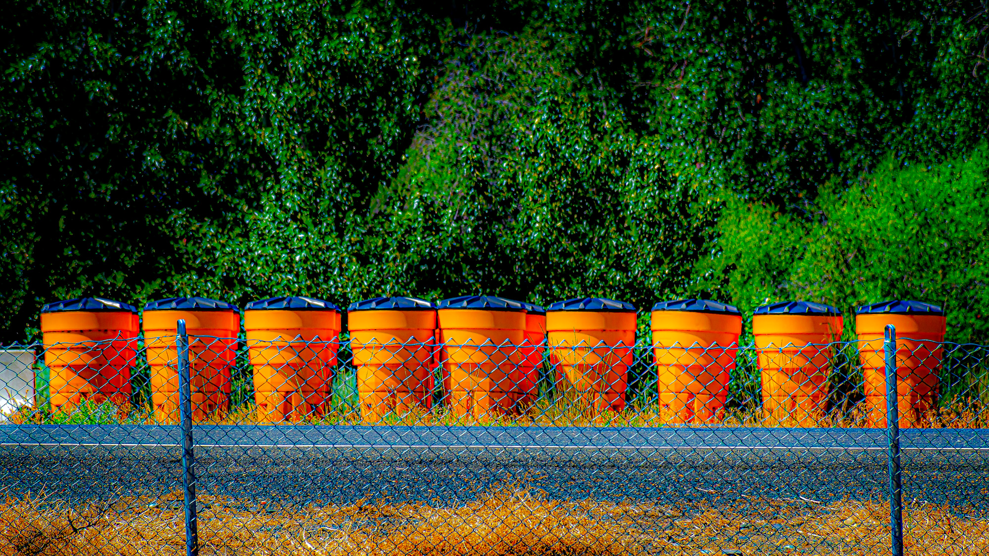 DSC_7879-Edit-Edit.jpg