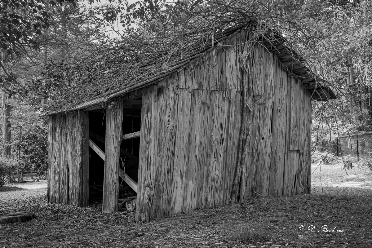 DSC_7885.jpg