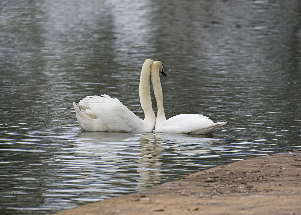 DSC_7886.jpg