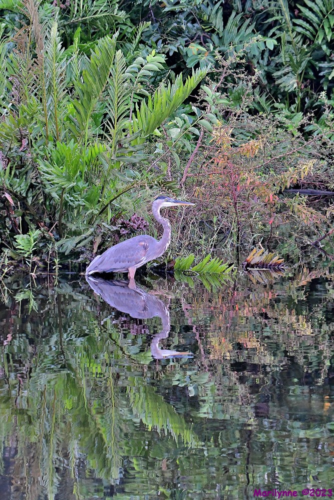 DSC_7886_001.JPG