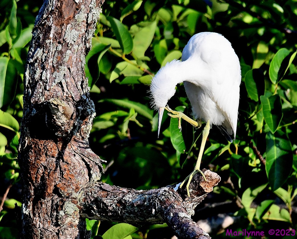 DSC_7889_001.JPG