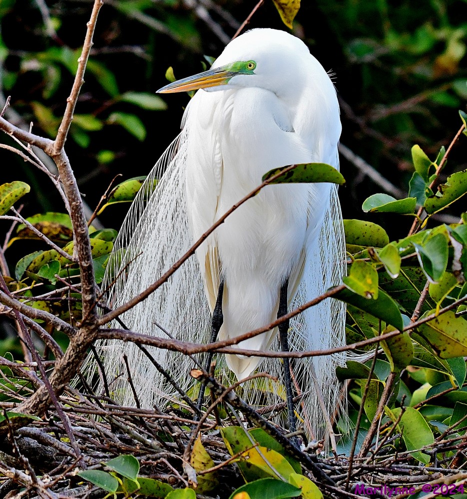 DSC_7891_001.JPG