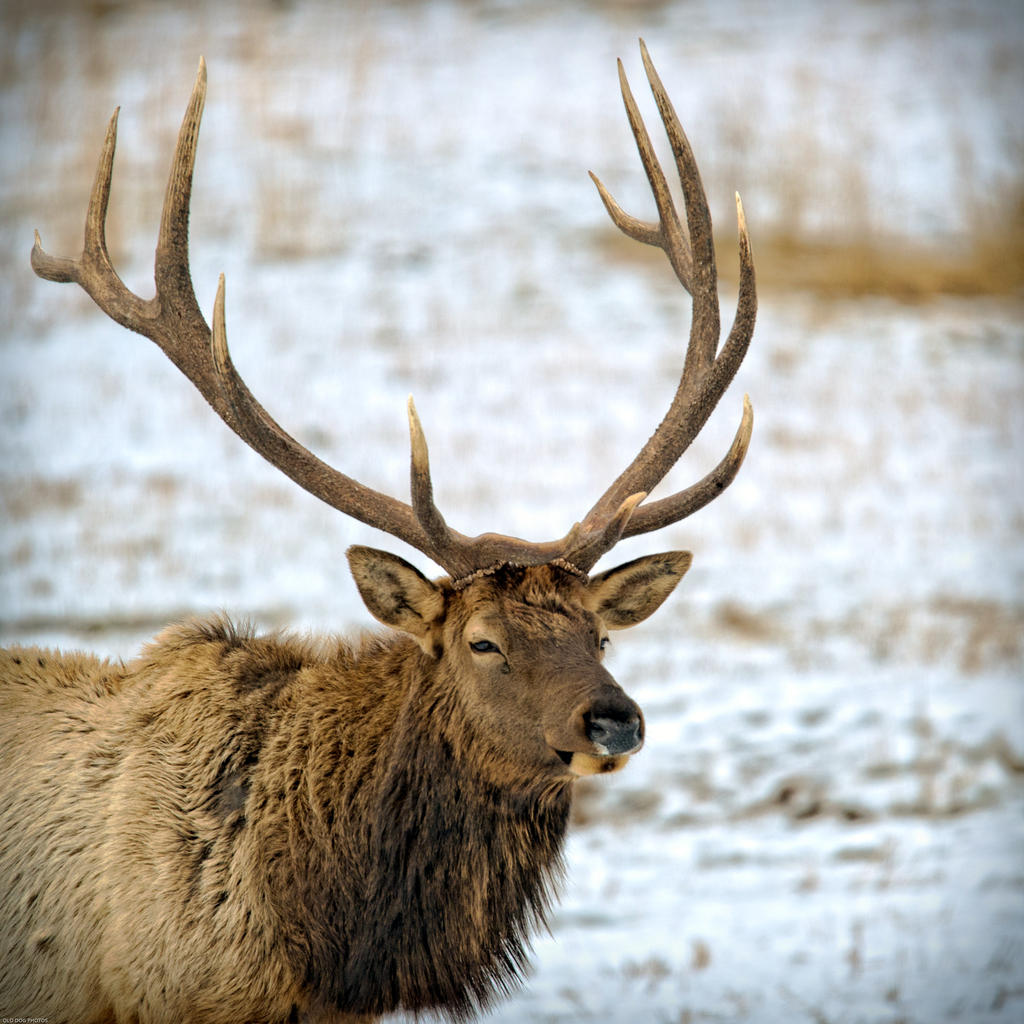 DSC_7892-Edit.jpg