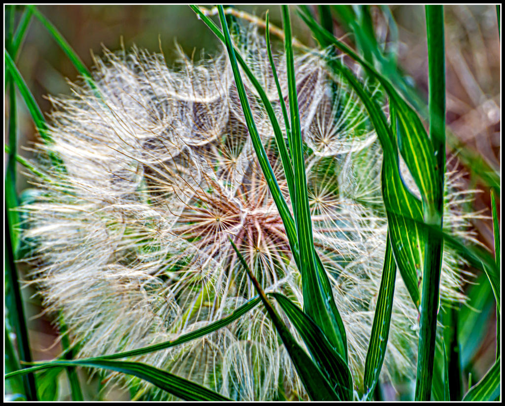 DSC_7894-Edit.jpg