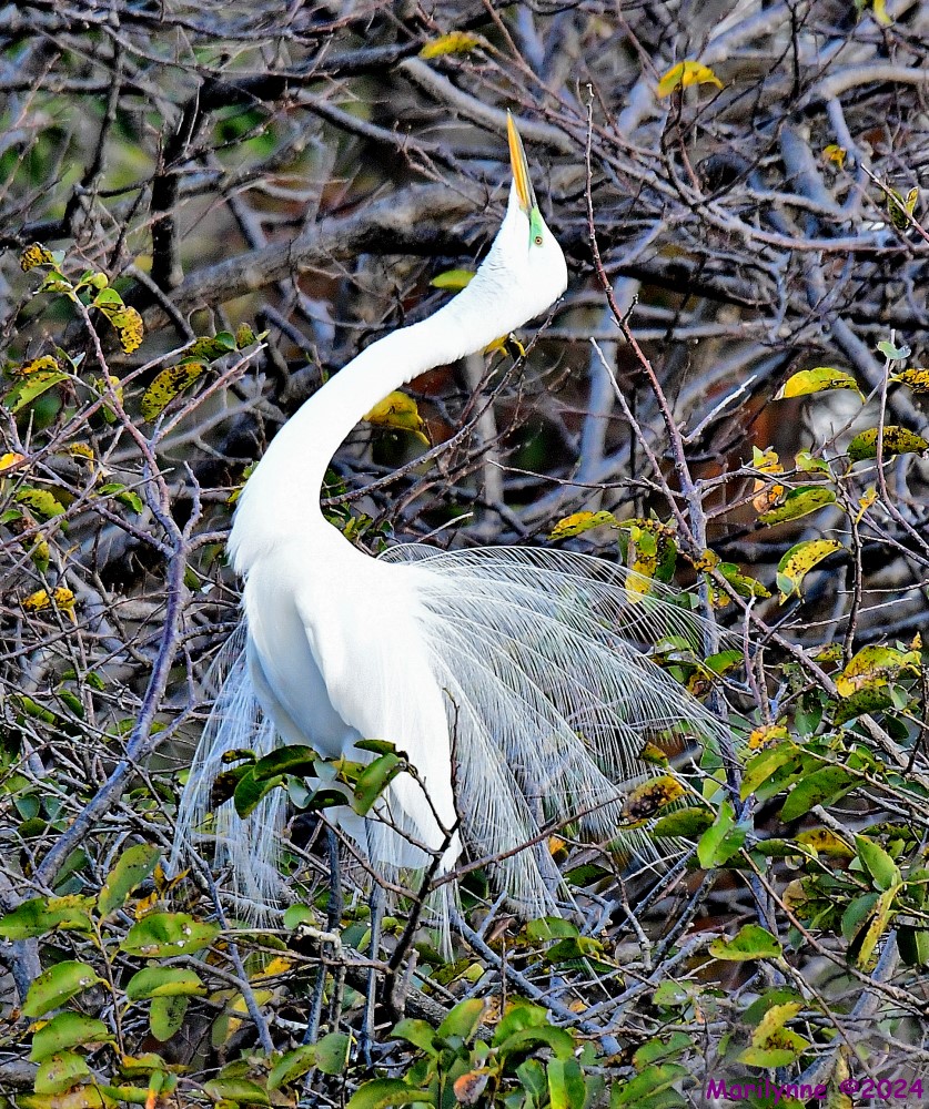 DSC_7900_001.JPG