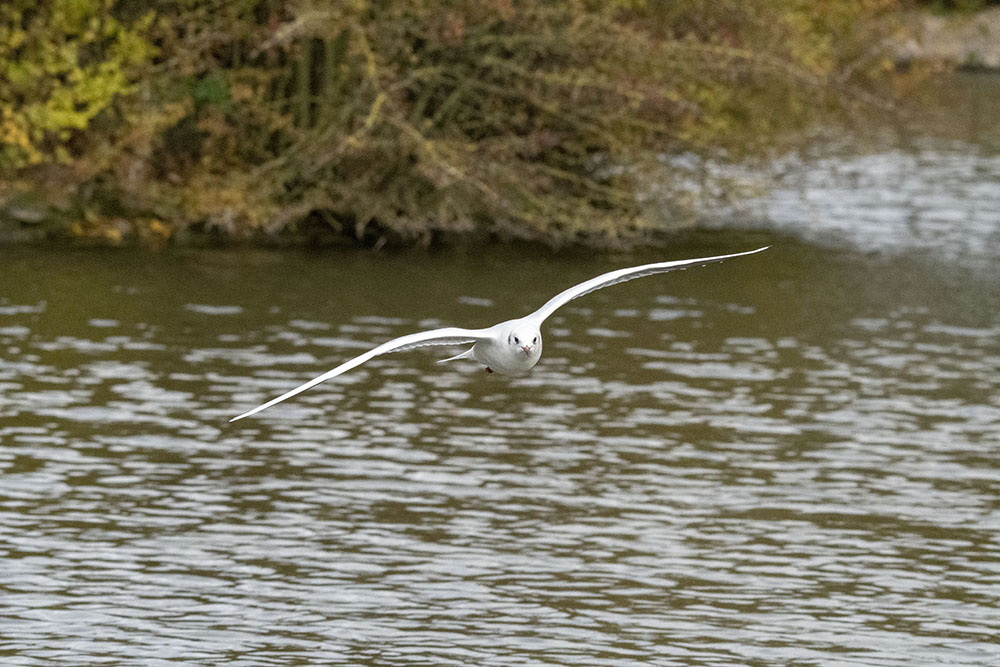 DSC_7902.jpg