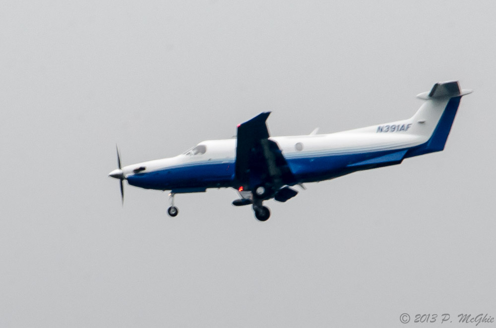 DSC_7902.jpg