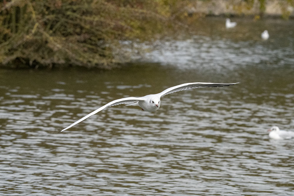 DSC_7903.jpg