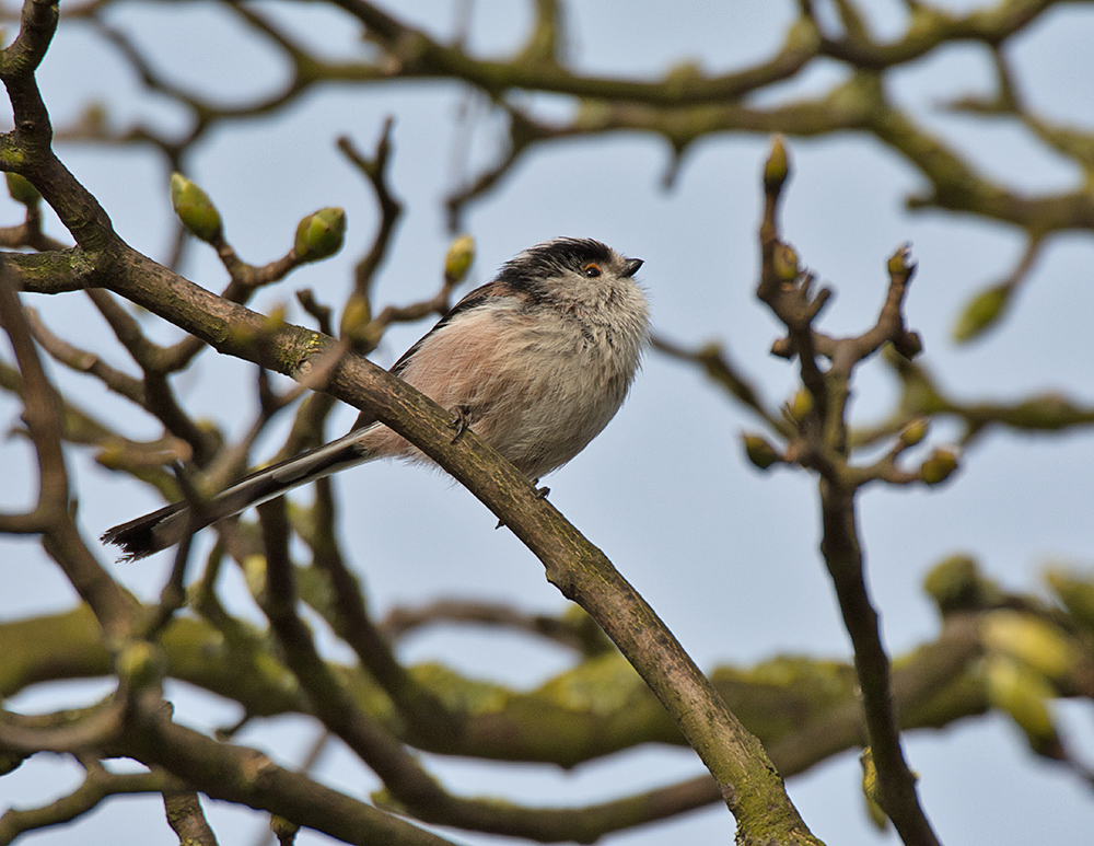 DSC_7904.jpg