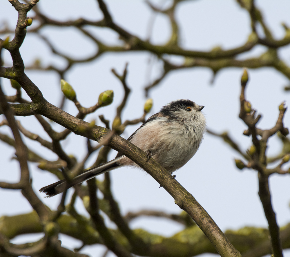DSC_7904.jpg