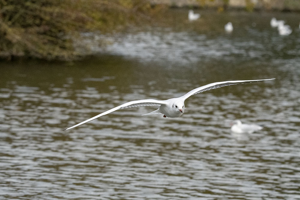 DSC_7904.jpg