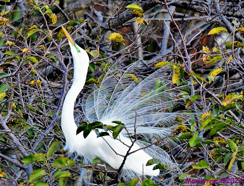 DSC_7904_001.JPG