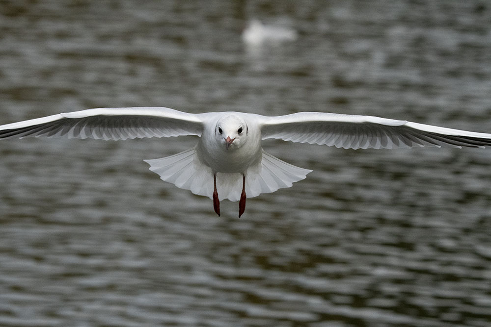 DSC_7908.jpg