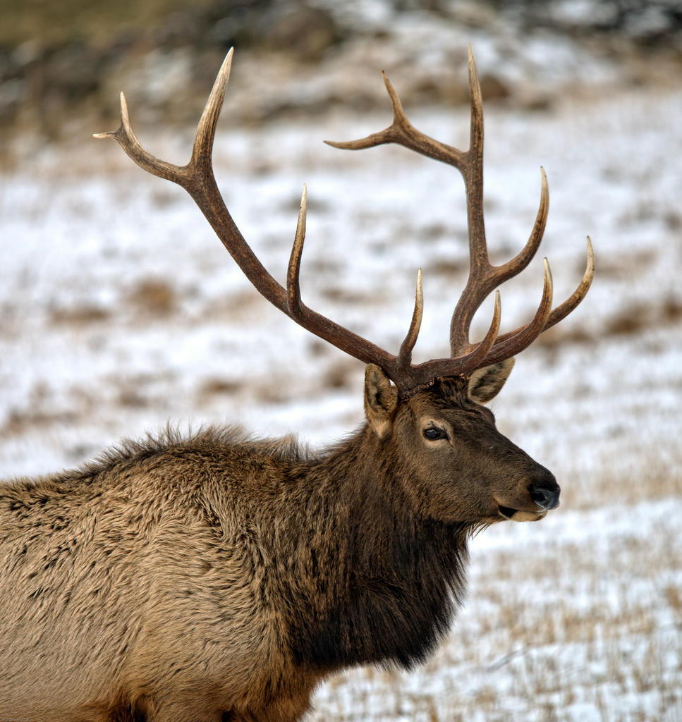 DSC_7912-Edit.jpg