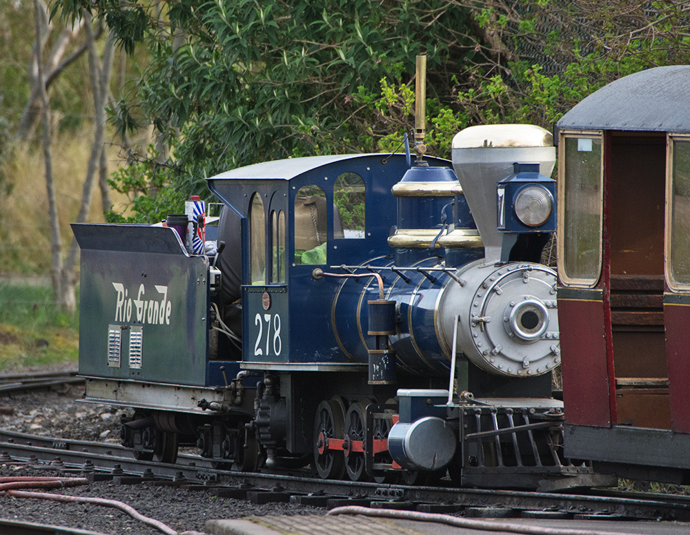 DSC_7915.jpg