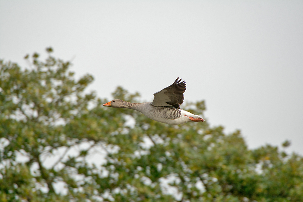 DSC_7919.jpg