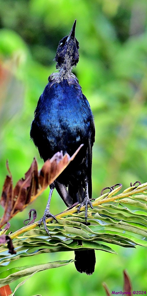 DSC_7922_001.JPG