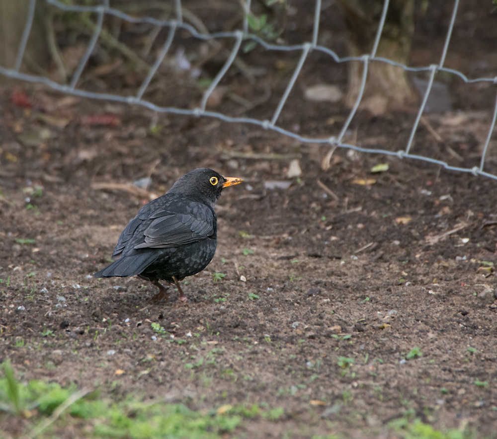 DSC_7925.jpg