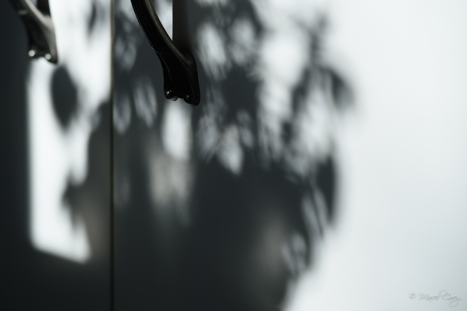 DSC_7937.jpg