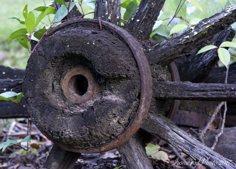 DSC_7940.jpg