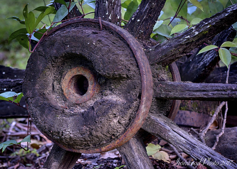 DSC_7940_HDR.jpg