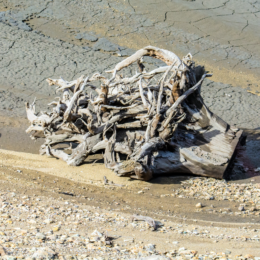 DSC_7943.jpg