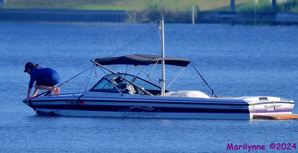 DSC_7945_001.JPG