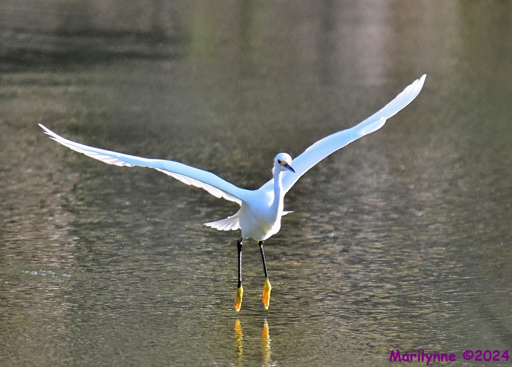 DSC_7946_001.JPG