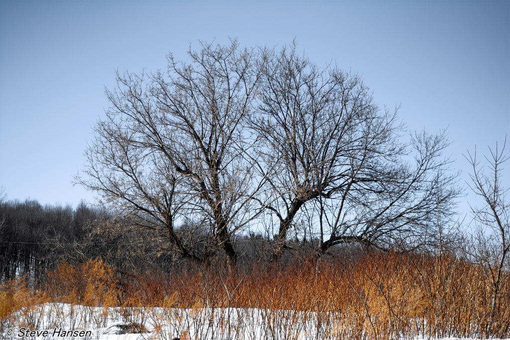 DSC_7948.jpg