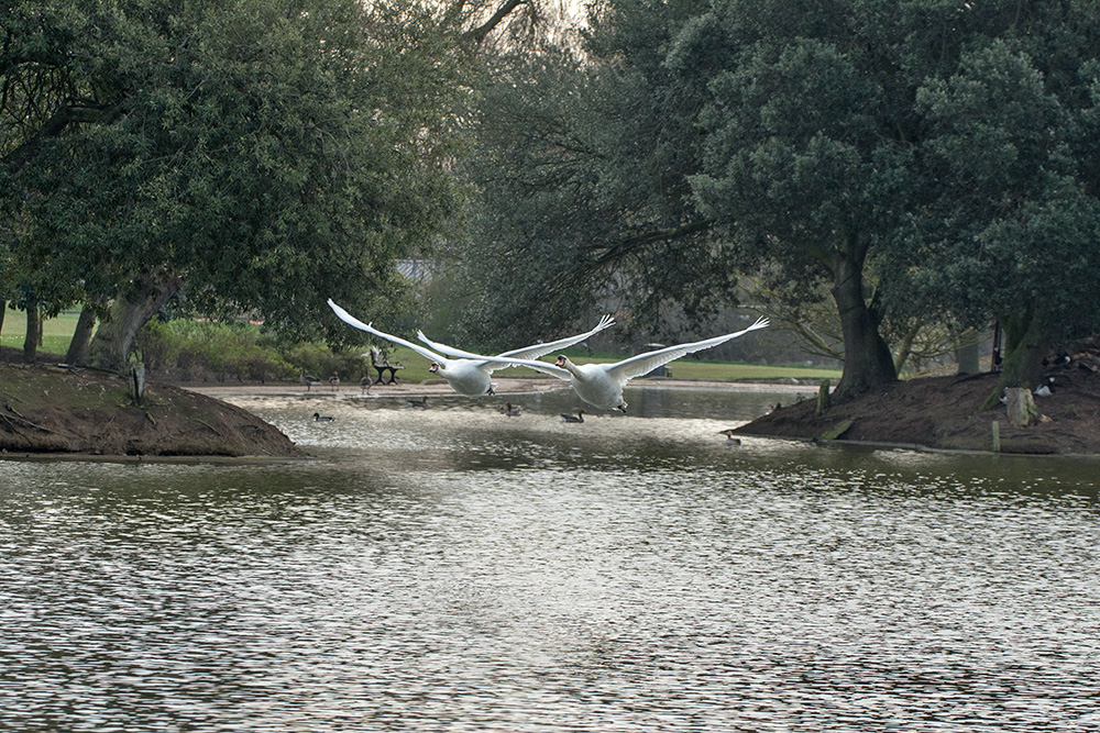 DSC_7949.jpg