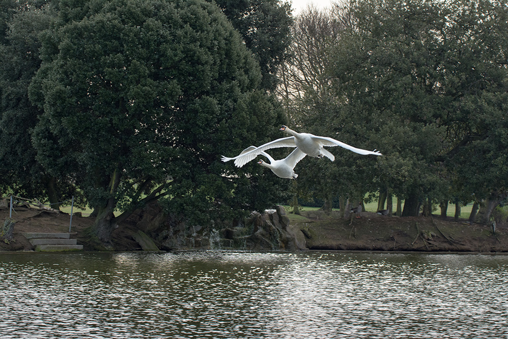 DSC_7952.jpg