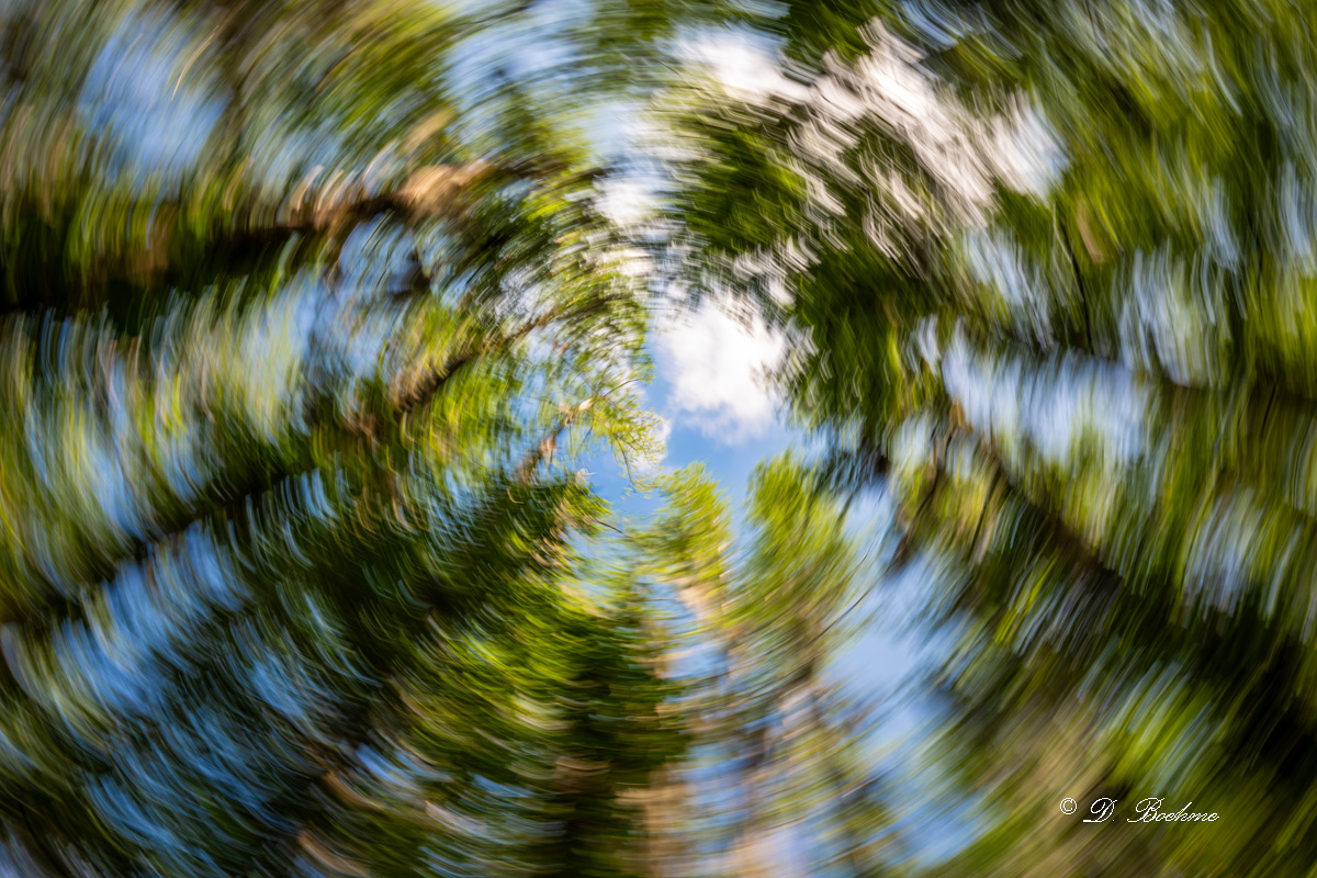 DSC_7952.jpg