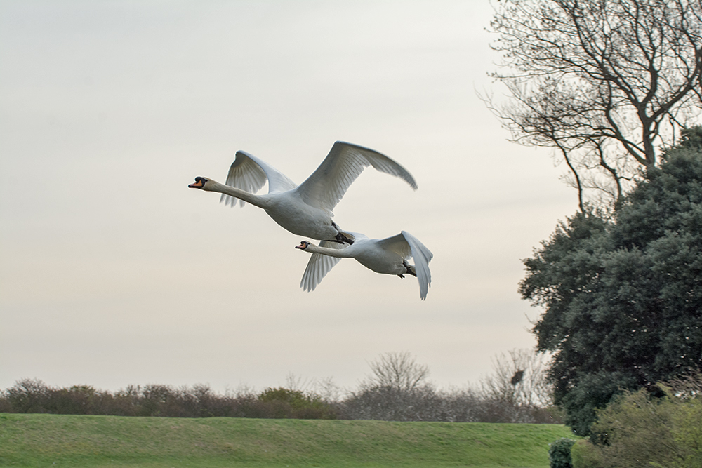 DSC_7955.jpg
