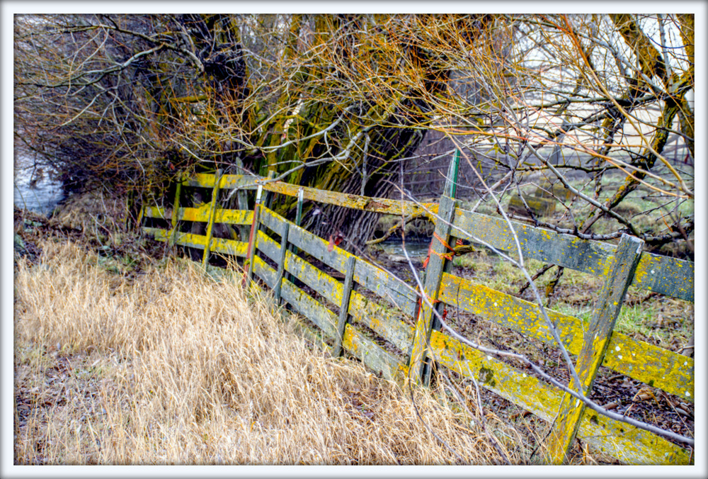 DSC_7966.jpg