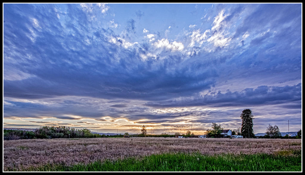 DSC_7967-HDR-Edit.jpg