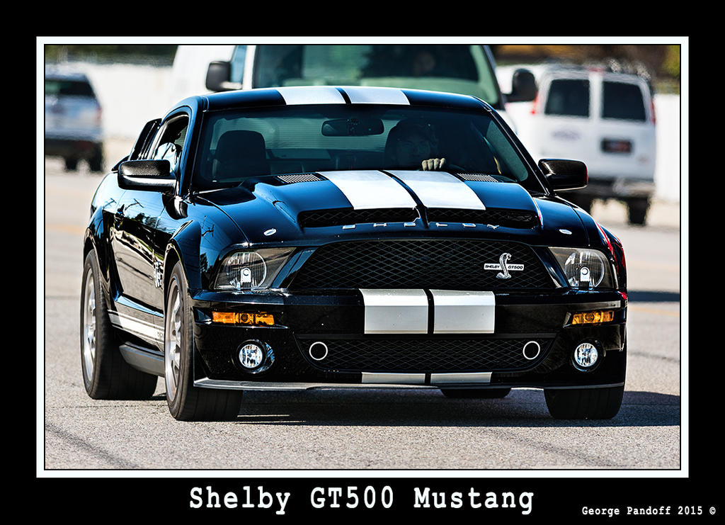 DSC_7970_Web.jpg
