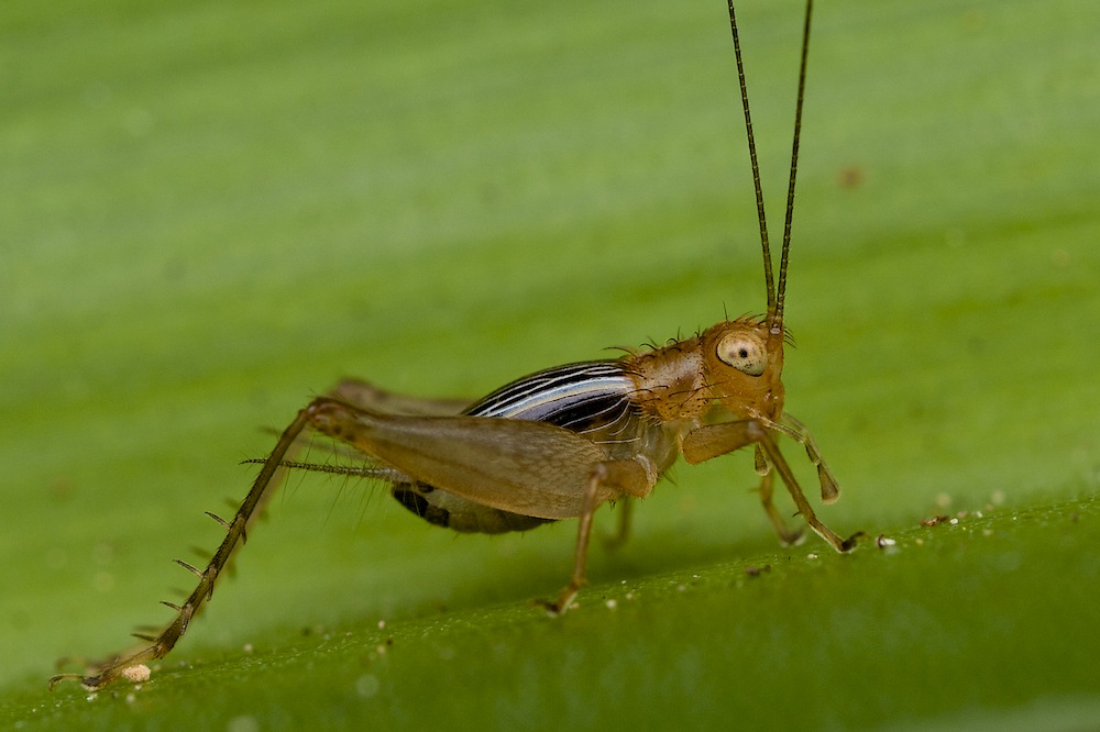 DSC_7973.jpg