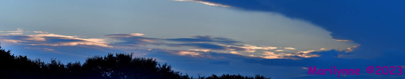 DSC_7977_stitch9_001.JPG