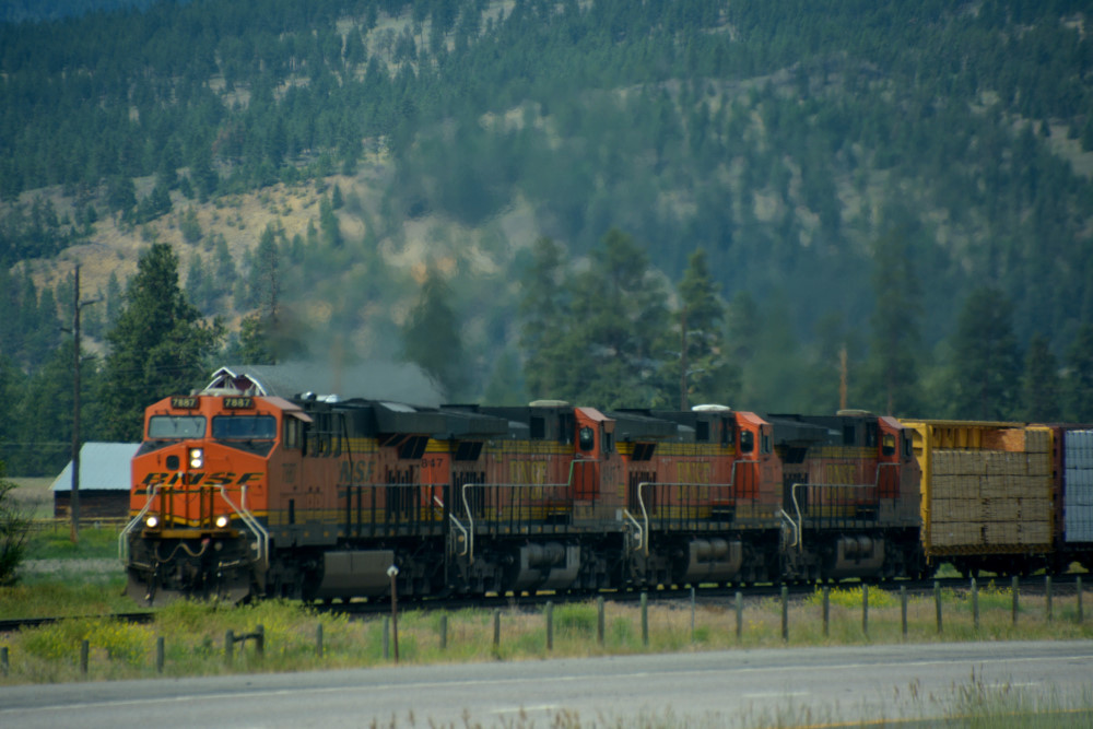 DSC_7981.JPG
