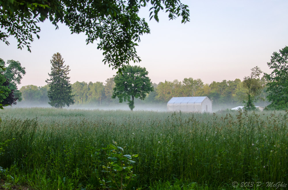 DSC_7982.jpg