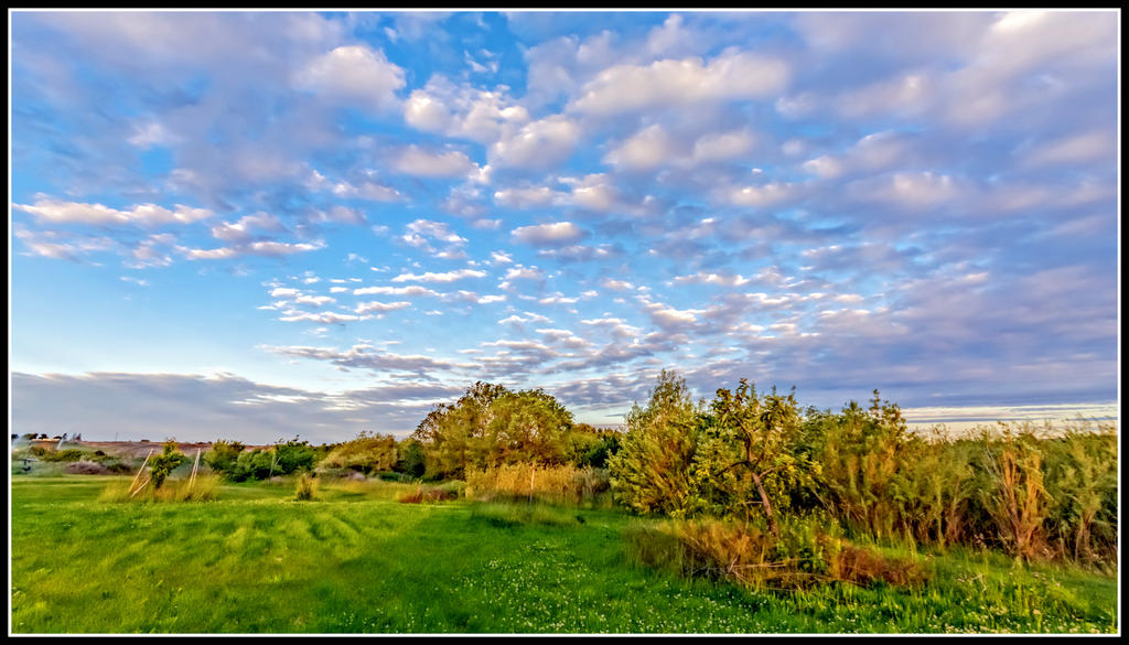 DSC_7997-HDR-Edit.jpg