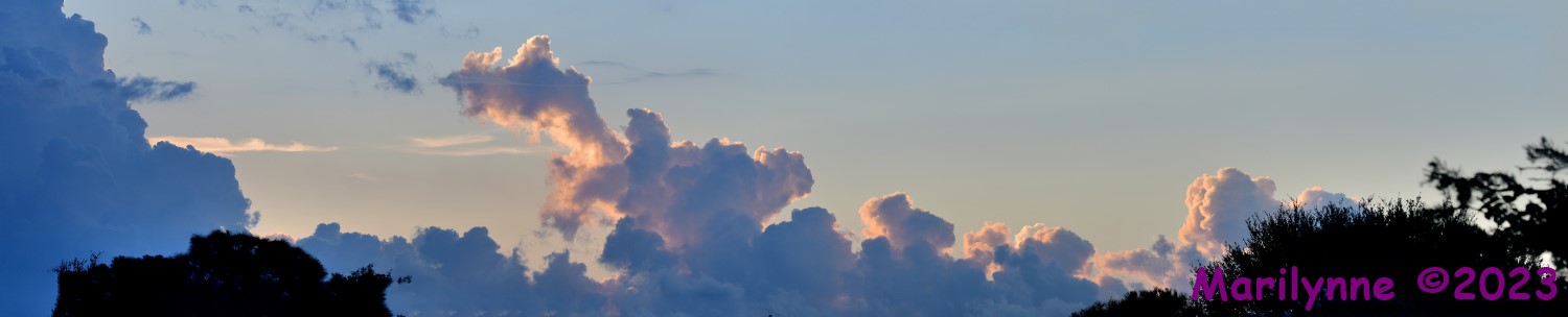 DSC_7998_stitch10_001.JPG