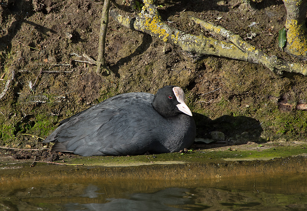 DSC_8008.jpg