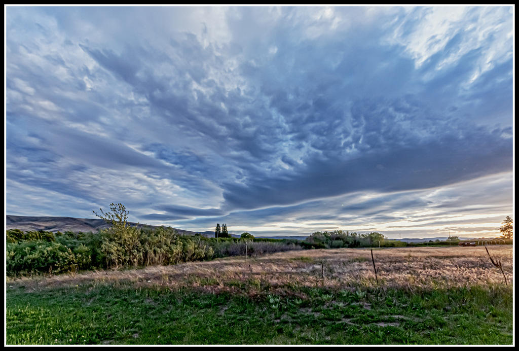 DSC_8012-HDR-Edit.jpg