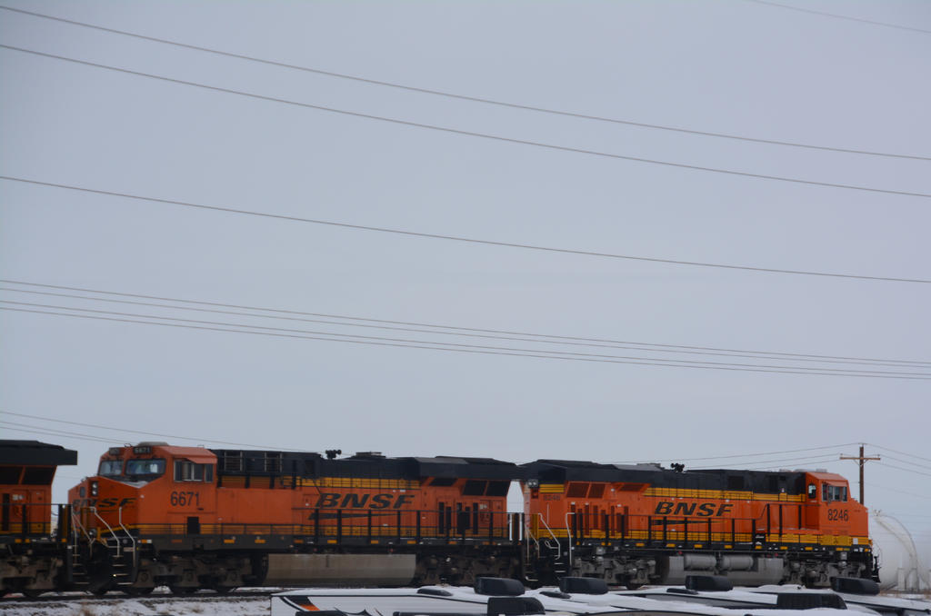 DSC_8013.jpg