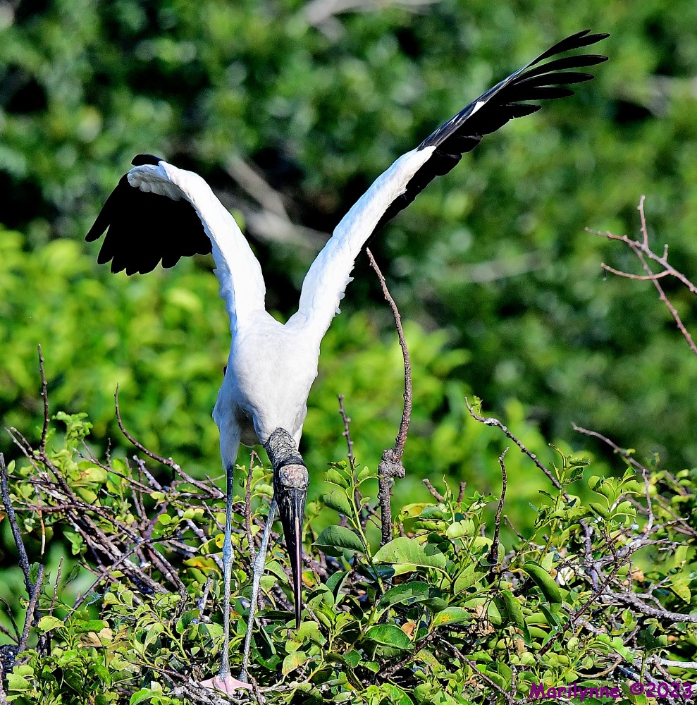 DSC_8015_001.JPG